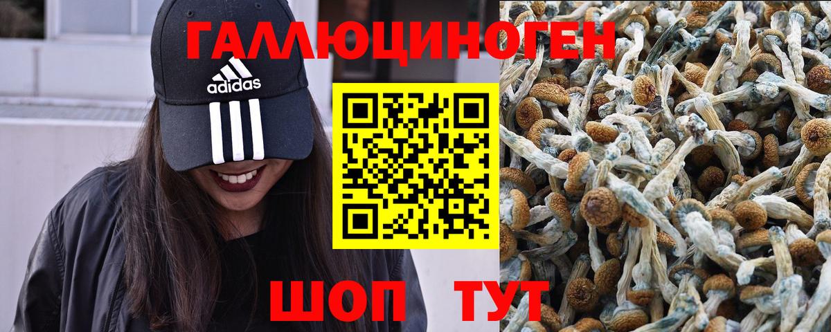 Галлюциногенные грибы мицелий  Вход с VPN  Надым 