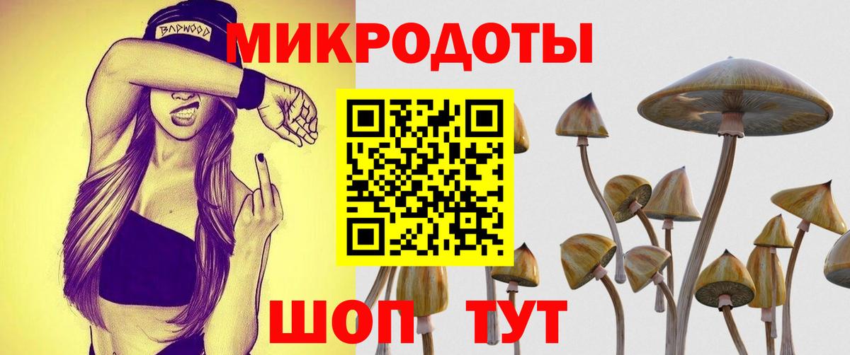 Псилоцибиновые грибы прущие грибы Надым